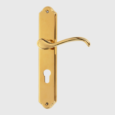 Cerradura de la puerta